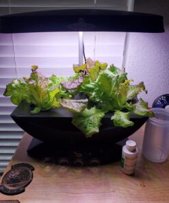 Aerogarden Salad Greens Seed Pod Kit with Red, Green, Romaine and Butter Leaf Lettuce, Liquid Plant Food and Growing Guide (9-Pod) 9-pod 21 81ujiZ6GZIL