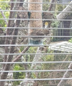 12 Inches Tube Bird Feeders for Outdoors Hanging, 4 Feeding Ports, Hard Plastic Bird Feeder Outdoor Weatherproof and 4 Inch Steel Hanger, Wild Bird Feeders, Finch Feeder, Bird Feeders Outside Hanging 1 4 Ports 46 81ultU81R L