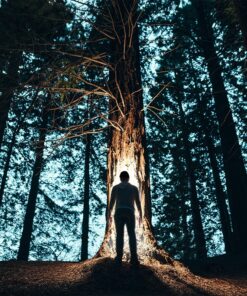 Panther Vision CUBWB-4553 Hand Free 4 LED Headlamp Beanie Cap, ( Black) 18 81umS9T17GL