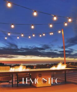 Lemontec Commercial Grade Outdoor String Lights with 15 Hanging Sockets - 48 Ft Black Weatherproof Cord Weatherproof Strand for Patio Garden Porch Backyard Party Deck Yard – S14 Black 31 81unHZbJDL