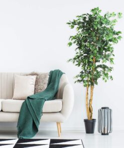 Nearly Natural 6ft. Ficus Artificial Trees, 72in, Green 72 in 26 81unRGSlNPL