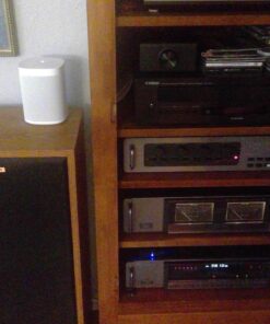 Echo Link - Stream hi-fi music to your stereo system Echo link 28 81urqRAYV7L