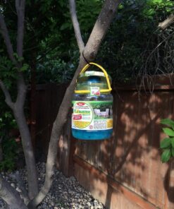 Flybuster Fly Trap - Outdoor Living, Fly Trap, Pest Control Trap for Garden 30 81utlf6GUTL