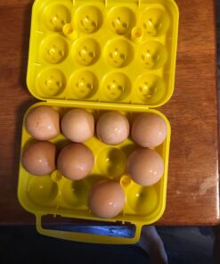 Coghlan's Egg Holder 12 Eggs 30 81uu6gNfwyL