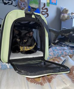 Henkelion Pet Carrier for Small Medium Cats Dogs Puppies up to 15 Lbs, Airline Approved Small Dog Carrier Soft Sided, Collapsible Travel Puppy Carrier - Green 17.0"L x 11.0"W x 11.0"H 36 81uvUnwUqOL