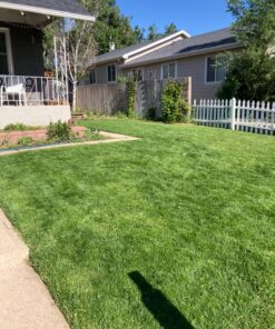 Scotts Turf Builder Grass Seed Sun & Shade Mix, Grows in Extreme Conditions & Spreads for a Durable Lawn, 7 lbs. 1 Pack 7 lb. 63 81uw5S5JzuL 1