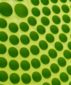 Alternative view of Chemical Guys DIRTTRAP04 Cyclone Dirt Trap Car Wash Bucket Insert Car Wash Filter Removes Dirt and Debris While You Wash (Green) 12" Diameter Great For Washing Cars, Trucks, SUVs, RVs & More Lime Green