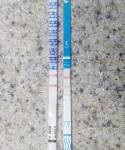 Clinical Guard 40 Ovulation Test Strips and 10 Early Pregnancy Test Strips Combo Rapid HCG Test Fertility Ovulation Predictor Kit 50 Count (Pack of 1) 54 81uwtJpHm4L