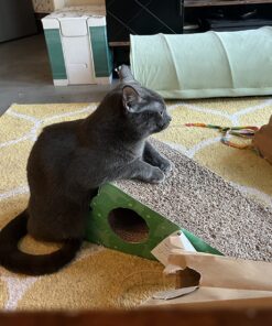 GoPets Premium Cat Scratcher - Wedge Shaped Corrugated Cardboard, Ergonomic Scratching Posts, Reversible Design, Lasts 2X Longer, with 1 Pack Catnip & Hidden Toy Cutouts for Endless Feline Play Fun 46 81uyBVQeXL 1