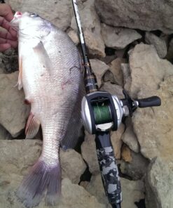 Entsport E Series - Camo Legend 2-Piece 7-Feet Casting Rod 24 Ton Carbon Fiber Baitcasting with 2 Tips - Medium and Medium Heavy Portable Bass Fishing Rod Baitcaster 59 81uzVpOXz2L