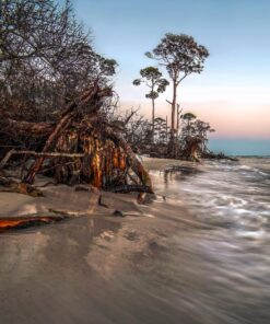 Rokinon FE14M-E 14mm F2.8 Ultra Wide Lens for Sony E-mount and Fixed Lens for Other Cameras 66 81v f1bgzzL