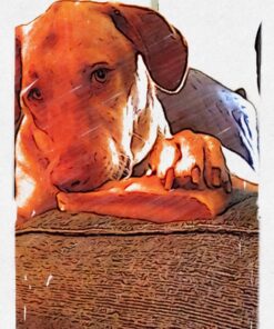 Himalayan Pet Supply Cheese Chews|Long Lasting, Stain Free, Protein Rich, Low Odor|100% Natural, Healthy & Safe|No Lactose, Gluten Or Grains|for Dogs 55 Lbs&Brown,X-Large(521015),5.3 Ounce (Pack of 1) 5.3 Ounce (Pack of 1) 42 81v1xKGmT0L 1