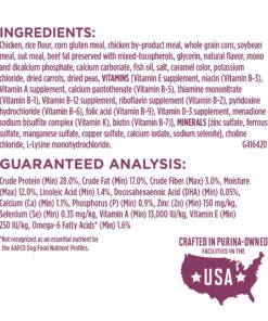 Purina ONE Plus Healthy Puppy Formula High Protein Natural Dry Puppy Food with added vitamins, minerals and nutrients - 8 lb. Bag Dry Food Chicken 8.00 Pound (Pack of 1) 21 81v84CrQk0L