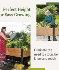 Gardener's Supply Company Raised Garden Bed Elevated Cedar Planter Box | 2' x 8' Standing Garden for Outdoor Plant Vegetables & Flower Gardening Perfect for Patio Deck & Backyard 27 81vB RW3JsL