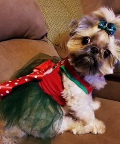 Kingdom Pets Filler Free Duck Jerky & Sweet Potato Twists, Premium Treats for Dogs, 48-Ounce Bag 23 81vBHrd5ikL