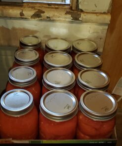 Ball Mason Regular Mouth Quart Jars with Lids and Bands, Set of 12 RM Quart Ball Jar 12 pk Standard Packaging 39 81vBZSaorVL