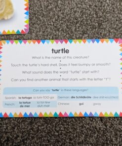 My First Touch and Feel Picture Cards: Animals (My First Board Books) 59 81vCO0hwvSL