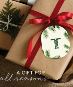 Thymes Frasier Fir Bar Soap - Pine Tree Scented Hand and Body Soap (5.5 oz) 11 81vCo5xciuL