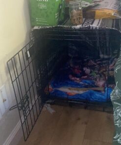 MidWest Homes for Pets Small Dog Crate, Life Stages 24' Double Door Folding Metal Dog Crate | Divider Panel, Floor Protecting Feet, Leak-Proof Dog Pan| 24L x 18W x 19H Inches, Small Dog Breed 24.0"L x 18.0"W x 19.0"H Lifestages; Double Door 29 81vCq9Sf7NL