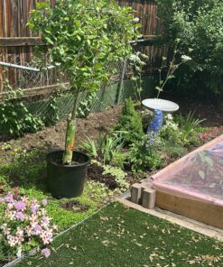 Craft And Party, Light Pink Fabric Tulle Roll 54 Inch by 40 Yards (120 ft) Fabric Tulle Bolt for DIY Tutu Skirt, Wedding and Decoration (Light Pink) 54" x 40 yards 24 81vDqbrjn5L