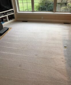 Bissell Hose & Upholstery Tool 30G for BG10 Deep Cleaning Machine With Bag 19 81vE2fAVVoL