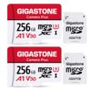 Gigastone 256GB Micro SD Card 2-Pack, Camera Plus, 4K UHD Video Recording, 4K Ultra HD Action Camera 256GB Camera Plus 2-Pack