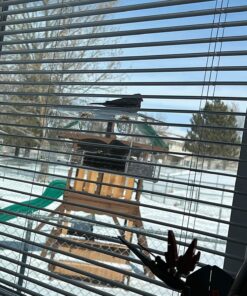 Extra Large Window Bird Feeders for Outside - Clear Bird Feeders for Viewing - Extra Strong Suction Cup Bird Feeder Window - Drainage Holes, Detachable Large Seed Tray, and Rubber Perch for Wild Birds Rectangular 34 81vFJB9PGgL