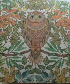 Secret Garden: An Inky Treasure Hunt and Coloring Book for Adults 107 81vGzIxz6RL