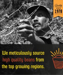 San Diego Coffee Island Blend, Medium Roast, Ground Coffee, 16-Ounce Bags (Pack of 2) 2.00 Pound (Pack of 1) 14 81vQk W 76L 3