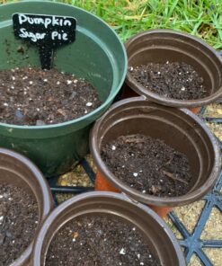 Sharpie Permanent Paint Marker, Fine Point, White 8 81vTSqcymtL