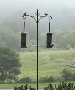 Squirrel Buster Standard Squirrel-proof Bird Feeder w/4 Metal Perches, 1.3-pound Seed Capacity, garden green 29 81vVvsXlv3L