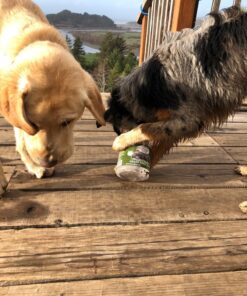 Triumph Dog Turkey, Pea, & Berry Grain Free Jerky, 24-Ounce 1.5 Pound (Pack of 1) 44 81vXjyw8a8L