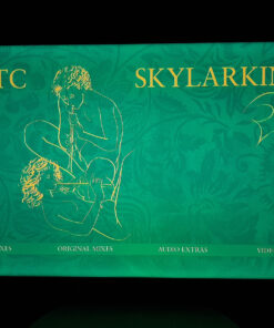 Skylarking: 30th Anniversary Definitive Edition 5 81vegTSg4TL