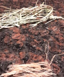 Kaytee All Natural Timothy Hay for Guinea Pigs, Rabbits & Other Small Animals, 6 Pound 6 Pound (Pack of 1) 31 81vjBTFu0DL 3