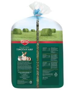 Kaytee All Natural Timothy Hay for Guinea Pigs, Rabbits & Other Small Animals, 6 Pound 6 Pound (Pack of 1) 23 81vpnONsozL 1