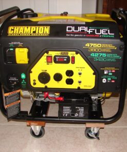 Champion Power Equipment 76533 4750/3800-Watt Dual Fuel RV Ready Portable Generator with Electric Start 39 81vpz7rFZnL