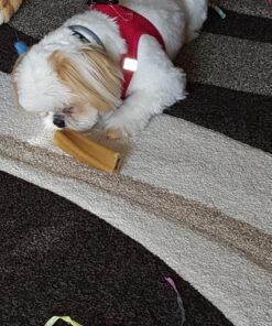 PURINA Busy Made in USA Facilities Small/Medium Dog Bones, Original - 10 ct. Pouch 10 Count (Pack of 1) 32 81vszaspbfL