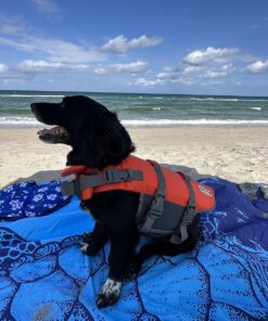 Outward Hound Granby Splash Orange Dog Life Jacket, Medium Granby (Flotation) Medium (Chest Girth: 21"-27") 33 81vwbWihaPL
