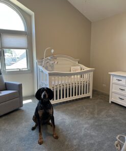 Evolur Belmar Double Dresser in Weathered White, Comes Assembled, Included Anti-Tip Kit, Seven Spacious Drawers, Dresser For Nursery, Bedroom, Wooden Nursery Furniture 54x20.25x33 Inch (Pack of 1) 20 81w fY73 mL