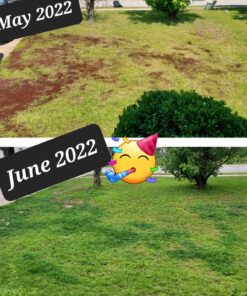 Scotts EZ Seed Patch & Repair Sun and Shade Mulch, Grass Seed, Fertilizer Combination for Bare Spots and Repair, 20 lb 20 lb. 1 Pack 51 81w5WyXhE5L 1