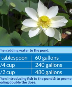API POND STRESS COAT Pond Water Conditioner 32-Ounce Bottle Water Treatment 15 81w6iHoMUvL