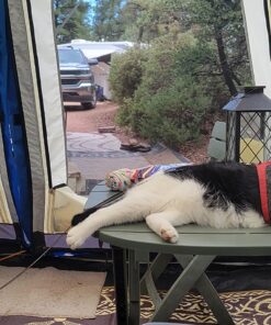 Coleman Camping Tent with Instant Setup, 4/6/8/10 Person Weatherproof Tent with WeatherTec Technology, Double-Thick Fabric, and Included Carry Bag, Sets Up in 60 Seconds 8-person Cabin Tent 54 81w8bGNOE6L