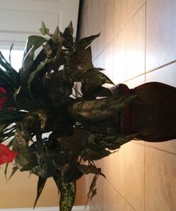Nearly Natural 6678 Mixed Greens and Anthurium with Vase Decorative Silk Plant, Green 29 81w9 k7151L