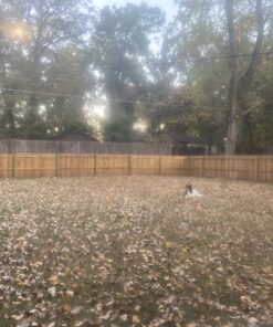 Wagner Spraytech 0417005 HVLP Control Spray Stain Sprayer, Ideal for Staining and Sealing Decks, Fences, and Lattice Painter 29 81w9kuArfVL