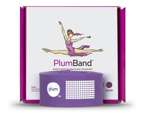 The PlumBand Stretch Band for Dance and Ballet – Colors and Sizes for Kids & Adults – Improve Your Splits, Strength, and Flexibility with Stretching – Printed Instruction Booklet and Travel Bag Plum Purple Regular