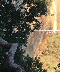 American Flag - 100% Made in the USA - 4' x 6' ft - Perma-Nyl Sewn Nylon with Grommets - Durable, and Patriotic - For Gardens, Homes, Patios and Cars – By Valley Forge Flag 4'x6' 14 81wG94n94ML