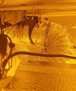 TerraBloom 6 Inch Inline Fan ECMF-150 - Quiet HVAC Grow Tent Fan with 0-100% Variable Speed Duct Fan Speed Controller, Premium Metal Casing 40-75% Energy Efficient EC Motor - For Large Spaces 6" (288CFM, 36W, Regular Case) 34 81wJwn4owJL