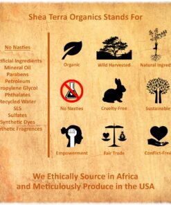 Shea Terra Egyptian Carrot Seed Cold-Pressed Extra Virgin Oil | Nutrient Rich, All Natural & Organic Oil with Anti-Aging Vitamin A, E and Beta-Carotene for Maturing and Damaged Skin Types – 2 oz 2 Fl Oz (Pack of 1) 11 81wL9aCEbS 1