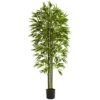 Nearly Natural 5386 Bamboo UV Resistant Tree, 6-Feet, Green,72" x 8" x 8" 72" x 8" x 8" 43 81wLsWOwTvL