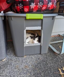 Petmate Aspen Pet Self Warming Round Bed, 19.5 Inches, Barn Red and Cream 19.5"L x 19.5"W x 7.0"Th 28 81wMomuiIsL